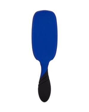WETBRUSH PRO SHINE ENHANCER BLUE